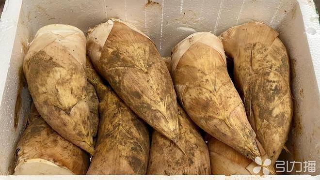 跨年团圆宴“火锅+腌笃鲜”食材热销PG电