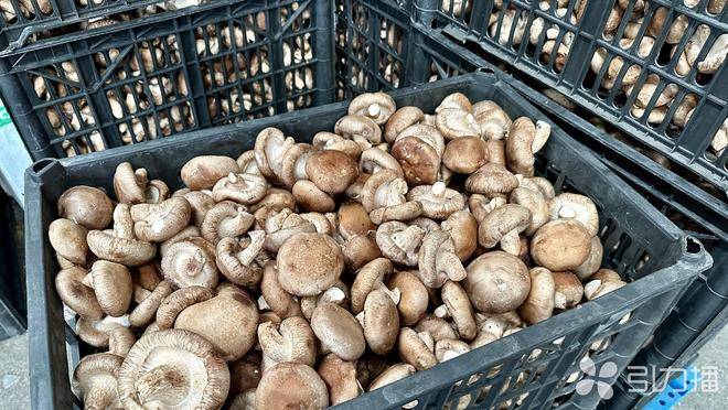 跨年团圆宴“火锅+腌笃鲜”食材热销PG电子麻将胡了2模拟器苏州人开吃(图2)